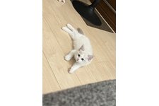 写真5869_2