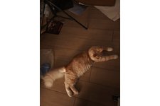 写真5872_1
