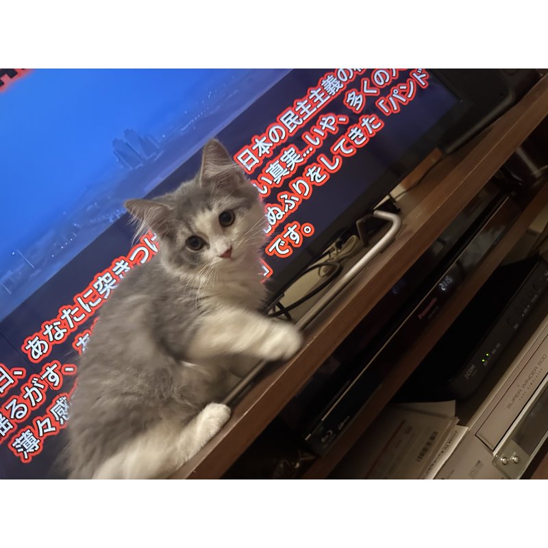 写真5899_2