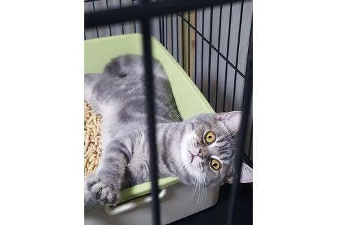 松永洋明ブリーダーの詳細の1枚目