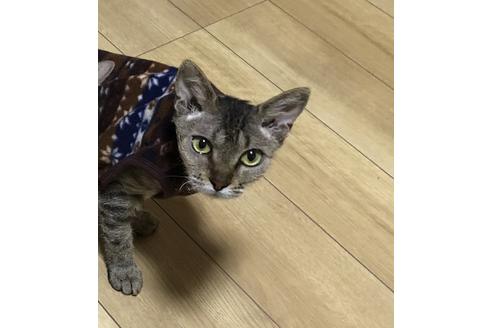 販売中のラパーマの母親