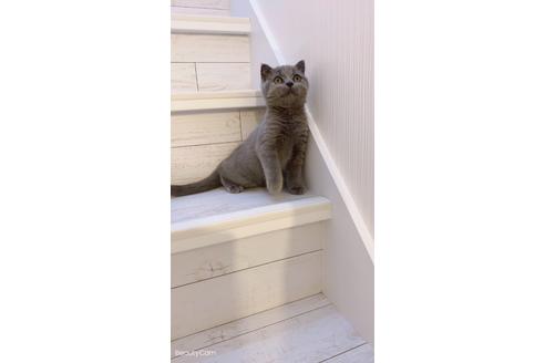 Oxzw1maowktsxm