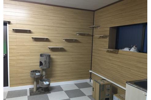 向後真輝ブリーダーの詳細