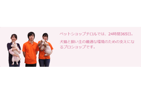 吉田理沙ブリーダー 子猫ブリーダーナビ