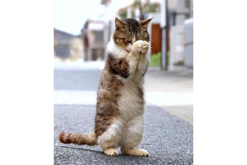 長内勇二ブリーダーの詳細の1枚目