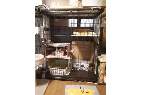 内田宣志ブリーダーの詳細