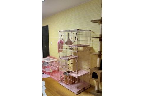 石川瑞穂ブリーダーの詳細
