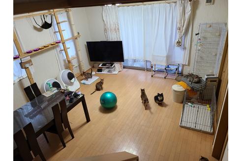飯岡秀明ブリーダーの詳細