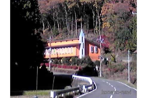 左近昭男ブリーダーの詳細