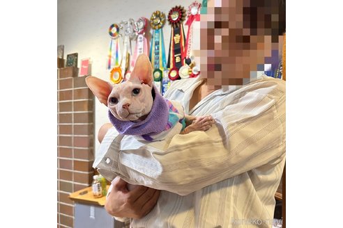 鈴木有理ブリーダーの詳細