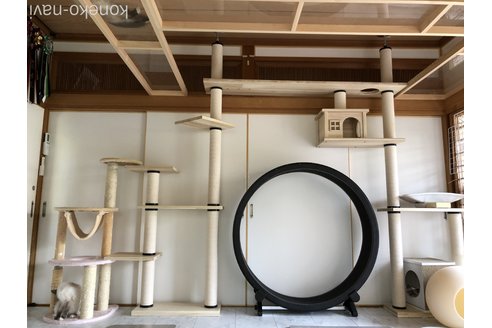 平岡千佳ブリーダーの詳細