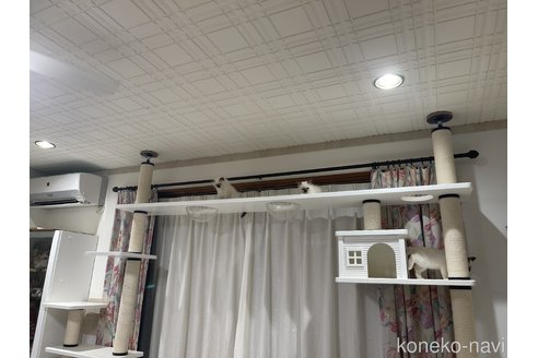 平岡千佳ブリーダーの詳細