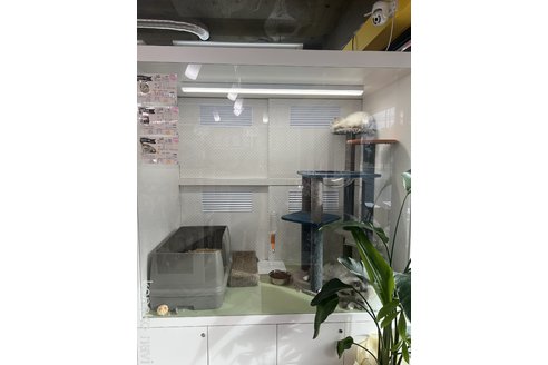中森作ブリーダーの詳細