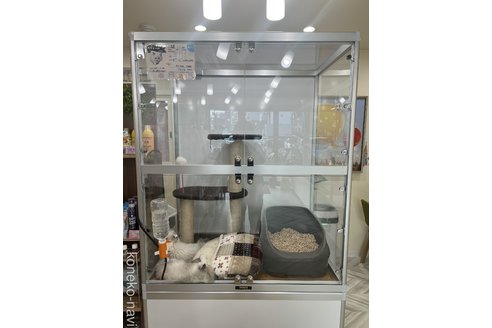 中森作ブリーダーの詳細