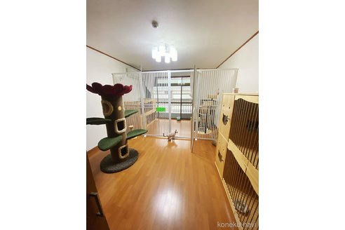 張宇婷ブリーダーの詳細