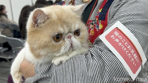 炭谷啓介ブリーダーの詳細