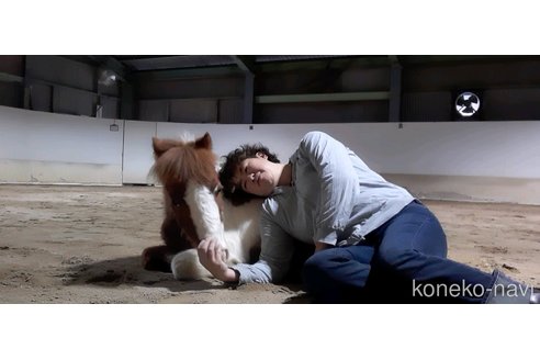 大岡亜耶ブリーダーの詳細の1枚目