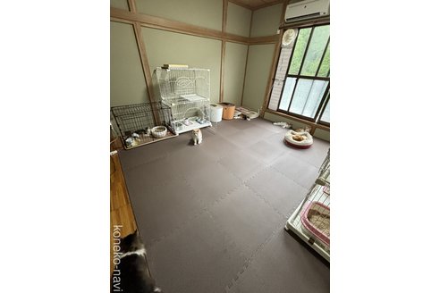森下豊子ブリーダーの詳細の1枚目