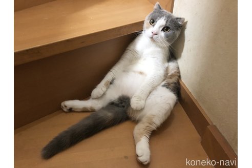 宮野毅ブリーダーの詳細