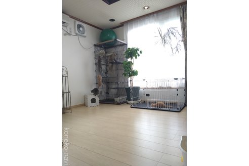 高瀨景子ブリーダーの詳細