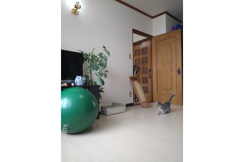 高瀨景子ブリーダーの詳細