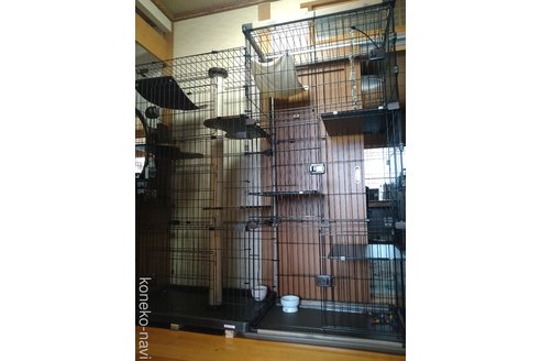 高瀨景子ブリーダーの詳細
