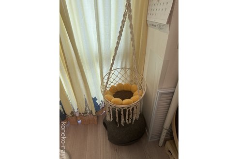 MENGZHAOMIAOブリーダーの詳細
