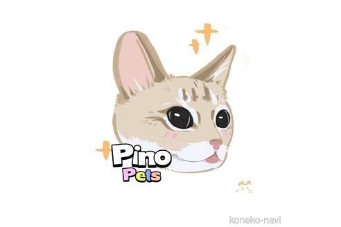 朱騰飛ブリーダーの詳細の1枚目
