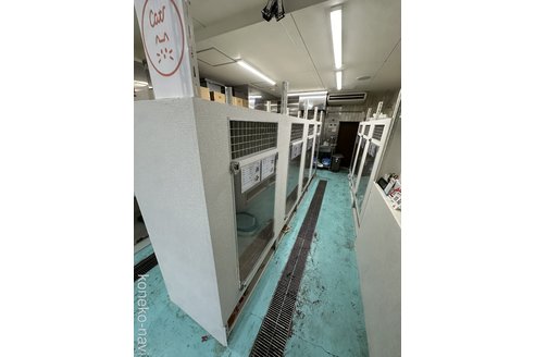 日比谷充規ブリーダーの詳細