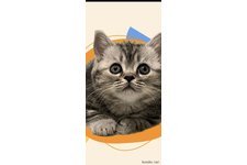 小澤昌伸ブリーダー