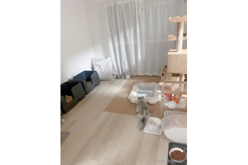 GUOTINGXIブリーダーの詳細