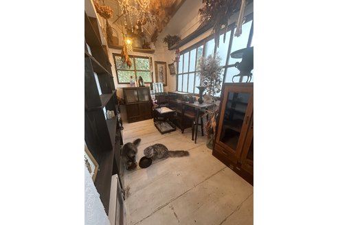 有島寛子ブリーダーの詳細