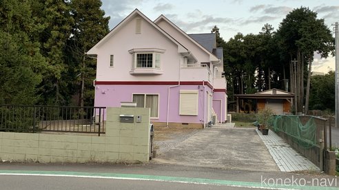 髙木恵美子ブリーダーの詳細