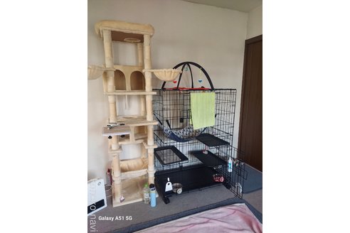 稲山恵子ブリーダーの詳細