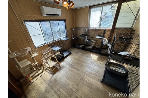 矢島誠理ブリーダーの詳細