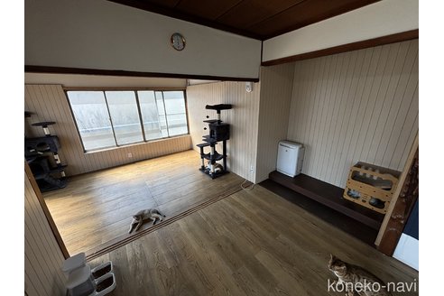 矢島誠理ブリーダーの詳細