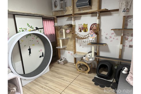 茂泉弥生ブリーダーの詳細