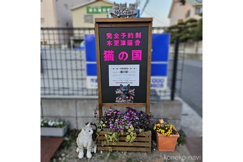 幾橋俊介ブリーダーの詳細