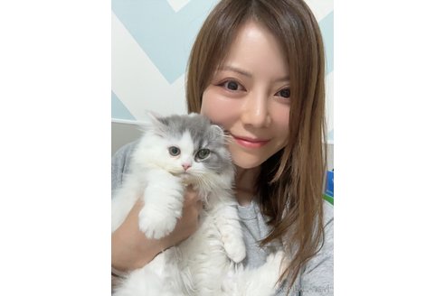 湯澤さき江ブリーダーの詳細