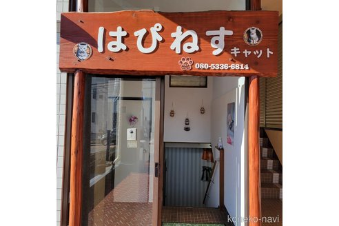武内由佳ブリーダーの詳細