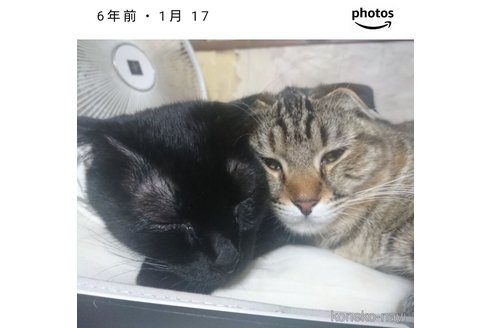 山口実起ブリーダーの詳細