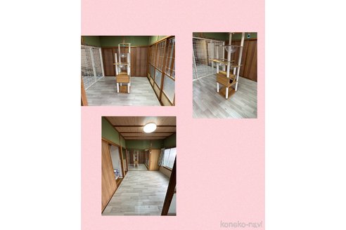 行岡理恵ブリーダーの詳細