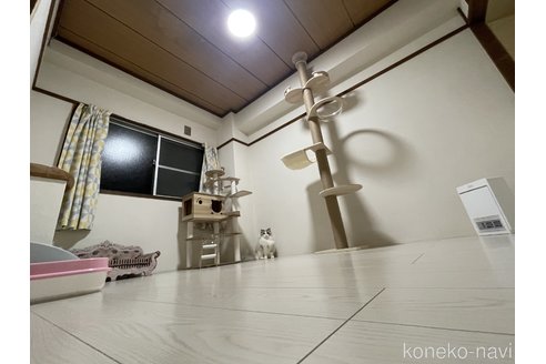 鄭雨杰ブリーダーの詳細