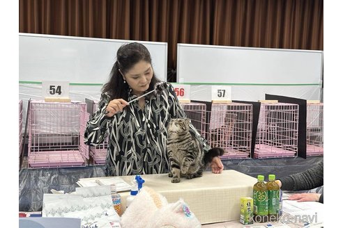 長田寛美ブリーダーの詳細