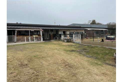 本間一夫ブリーダーの詳細