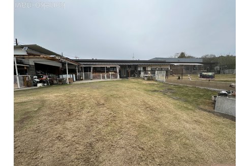 本間一夫ブリーダーの詳細