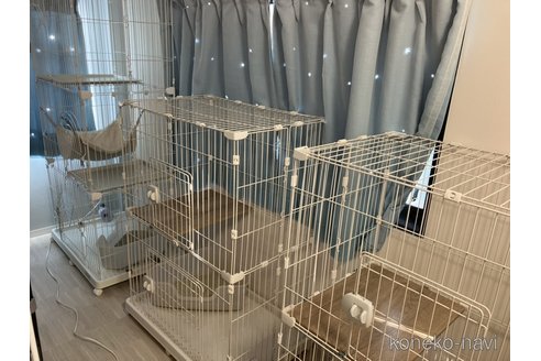 関川梨加ブリーダーの詳細