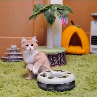 金子円ブリーダーの詳細