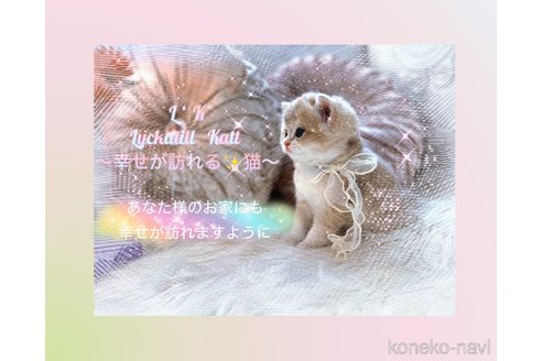 西村緑ブリーダーの詳細の1枚目