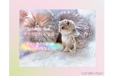 西村緑ブリーダー